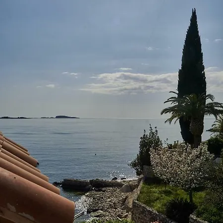 Olive Mill * 믈리니