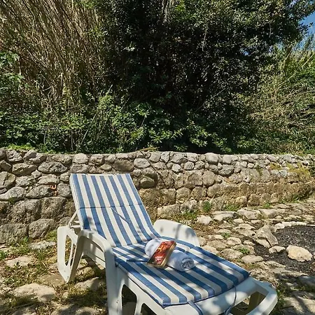 Apartamento Olive Mill