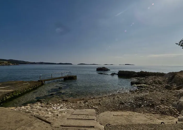 Olive Mill 米利尼