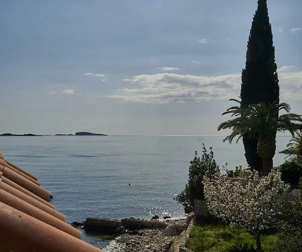 Olive Mill * 米利尼